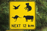 Watch out for a variety of animals on the road - Pas op voor veel verschillende dieren