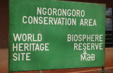 Ngorongoro crater - Ngorongoro krater