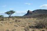 Samburu National Reserve