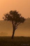 Masai Mara National Reserve