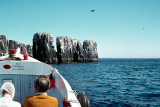 Farne Isles
