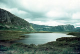 Landscape - Landschap