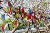 Dambulla