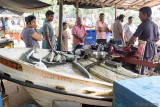Fish Market
