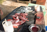 Fish Market