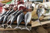 Fish Market