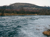 Jakobselva