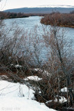 Jakobselva