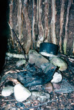 Sami hut inside - Sami hut binnenkant