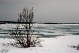 Jakobselva