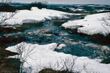 Jakobselva