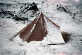 Snow storm in June - Sneeuwstorm in juni