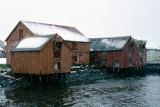 Snow in June - Sneeuw in juni