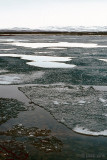 Winter in June - Winter in juni