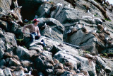 Student catching Puffins for study - Student Papegaaiduikers vangend voor studie