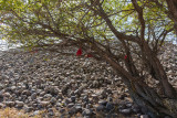 Kyrgystan, San Tash (counting stones)