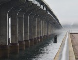 Bridge and the Mist