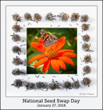 National Seed Swap Day