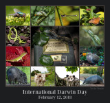 International Darwin Day 2018