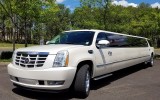 Hamilton Wedding Limo