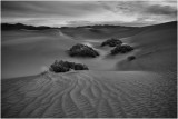 Mesquite Dunes br Death Valley
