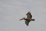 20180304 - Galviston TX - 095.jpg