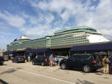 IMG_3013.JPG