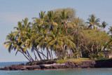 Hawaii Big Island Snorkel Day May 21, 2017