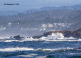 5F1A6994_Oregon_Coast_.jpg