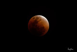 LUNAR ECLIPSE OF JAN. 31, 2018 (08:49:05 pm, Manila Time). 
Observed from Rosario, La Union, Philippines Canon 7D II + 400 2.8 L IS + Canon 1.4x III TC, Manfrotto 475B/516 support, 
560 mm, f/4, ISO 1600, 1/25 sec, manual exposure, cropped and resized to 1500 x 1000.