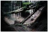 20170803 -- 005538