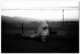 20170731 -- 043259