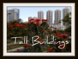 tall buildings