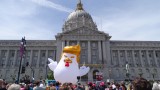 Tax March Trump Chicken