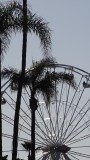 San Diego County Fair Ferris Wheel