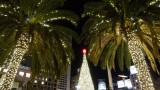 Union Square Christmas Tree