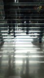 Apple Store Glass Stairs