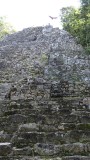 Coba Ruins