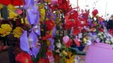 Chinatown Lunar New Year Flowers