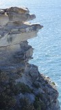 Sydney South Head Cliffs