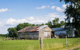 Shed with Bad Roof