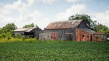 Amish Barns