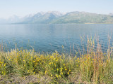 Jackson Lake