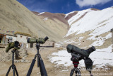 In search of Snow Leopards near Rumbak village_Hemis NP (Ladakh)