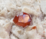 Spessartine garnet. Gilgit, Pakistan. gemmy 7 mm crystal on 5 x 4 cm feldspar matrix