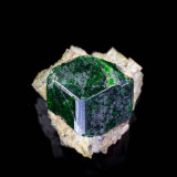 Uvarovite crystal, 12 mm across. Taghonak, Kotizabi, Hindu Kush, Andarab Region, Baghlan Province, Afghanistan.