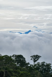 Early morning forest, clouds, mountains and sky, view from Magic Mountain Lodge