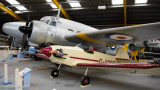 Anson takes Taylor under his wing.jpg