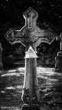 This Memorial is Unstable.jpg