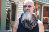 Dude with a Ball Python around his neck, Frenchtown NJ.